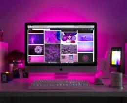 Website Design and Front-End Development